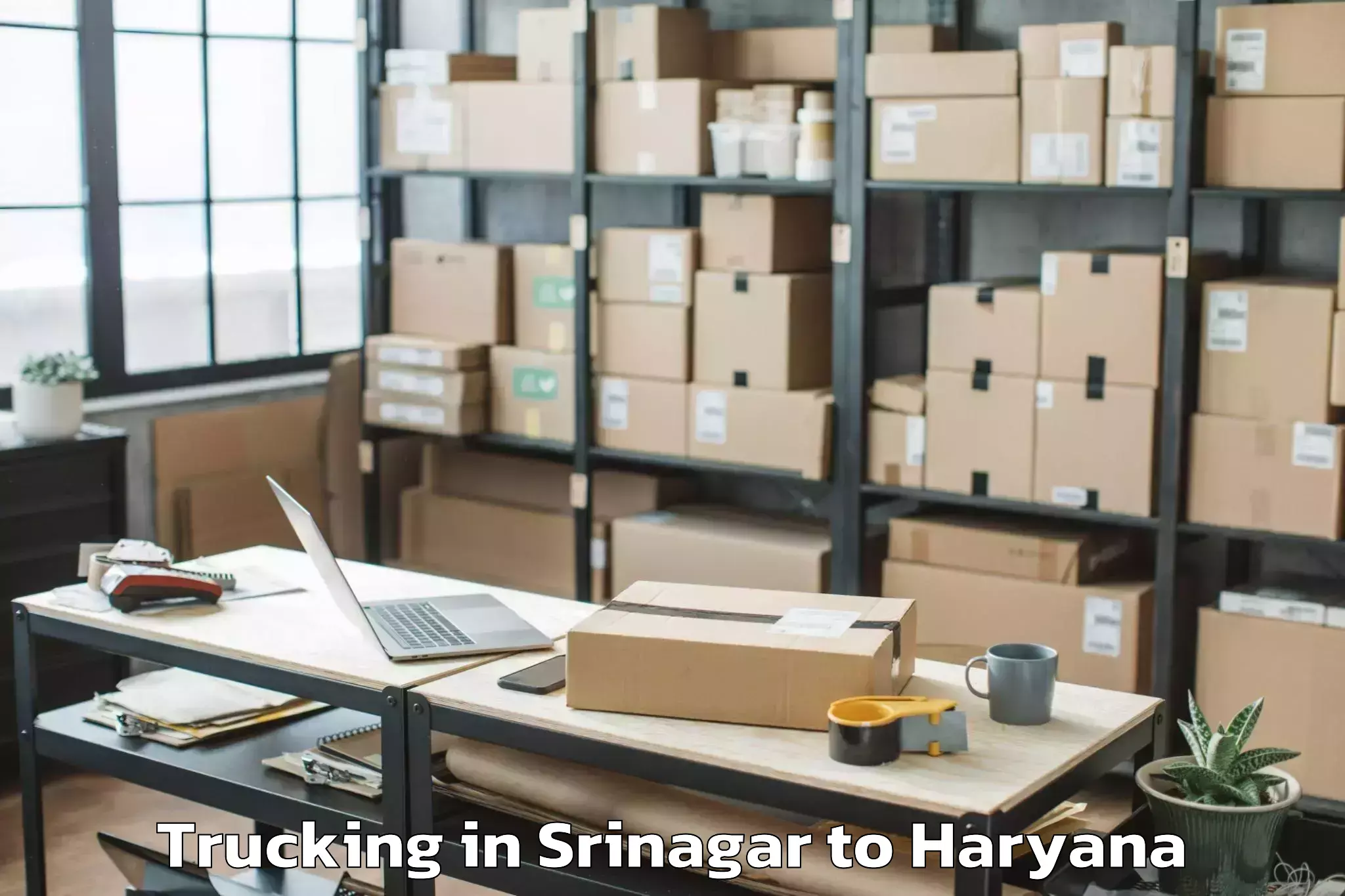 Easy Srinagar to Pristine Mall Faridabad Trucking Booking